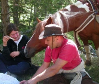  Caballo curioso 